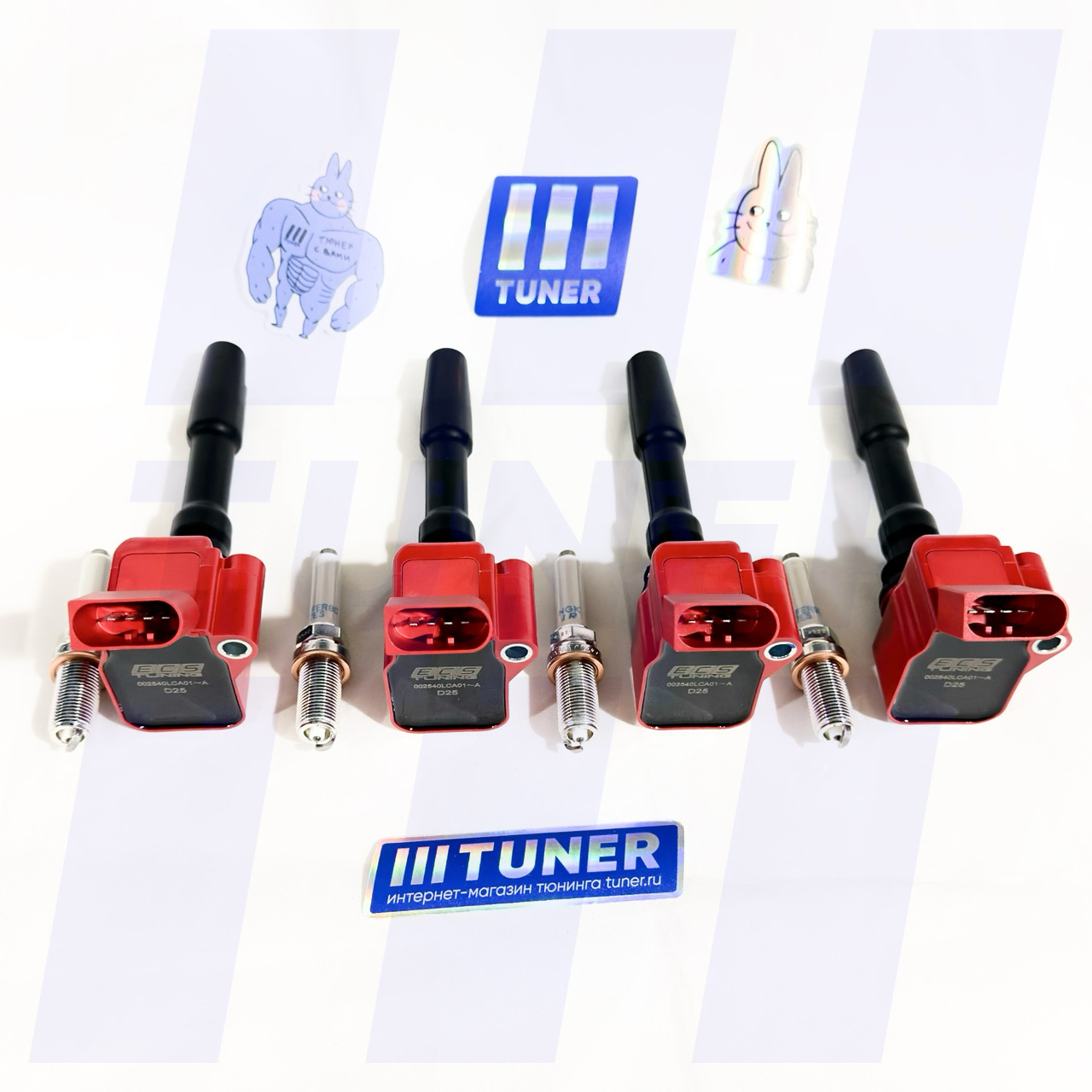 TUNER Комплект высокопроизводительных катушек ECS Tuning и свечей зажигания NGK (RS6)